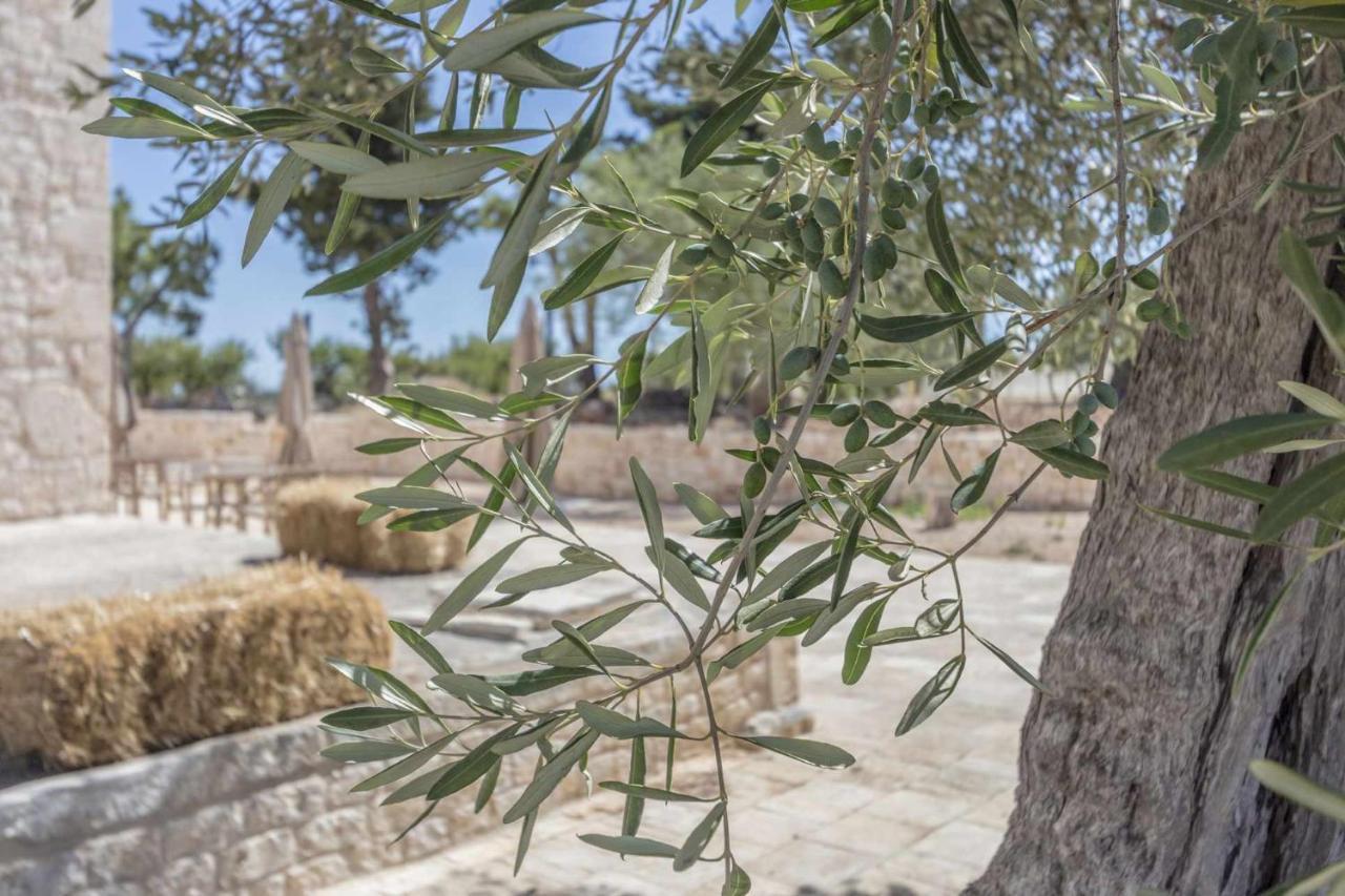 Masseria Fanizzi Conversano Zewnętrze zdjęcie